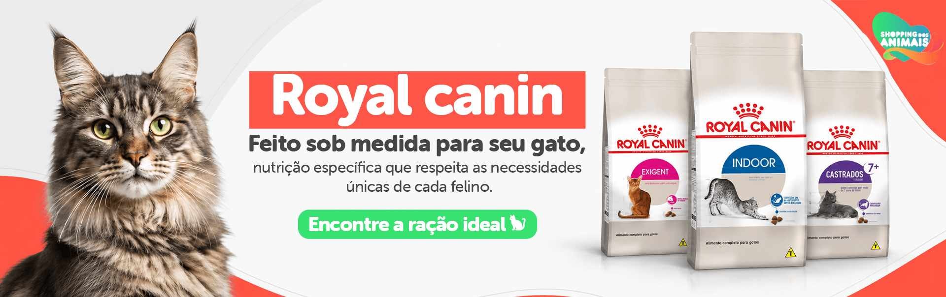 royal canin gatos banner topo