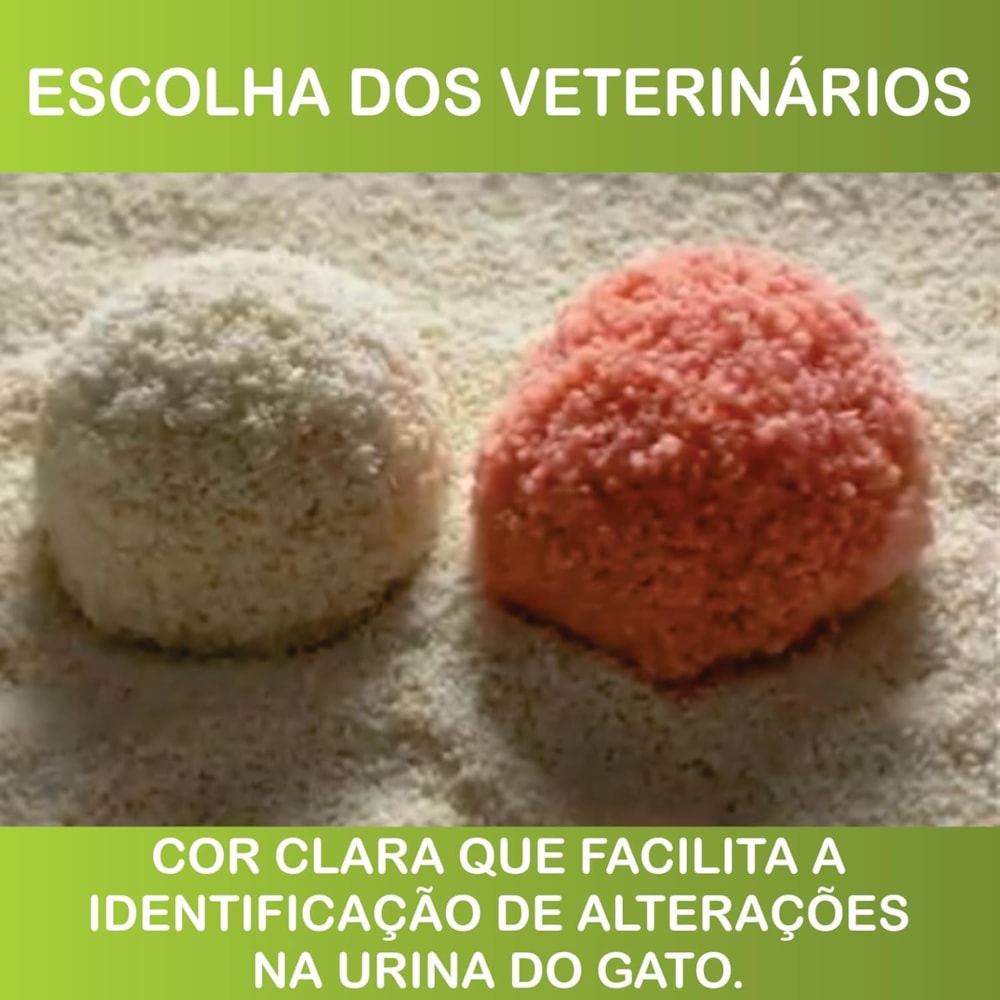 image_bc6378de-bff4-49ce-973c-8a2f9e2875b3