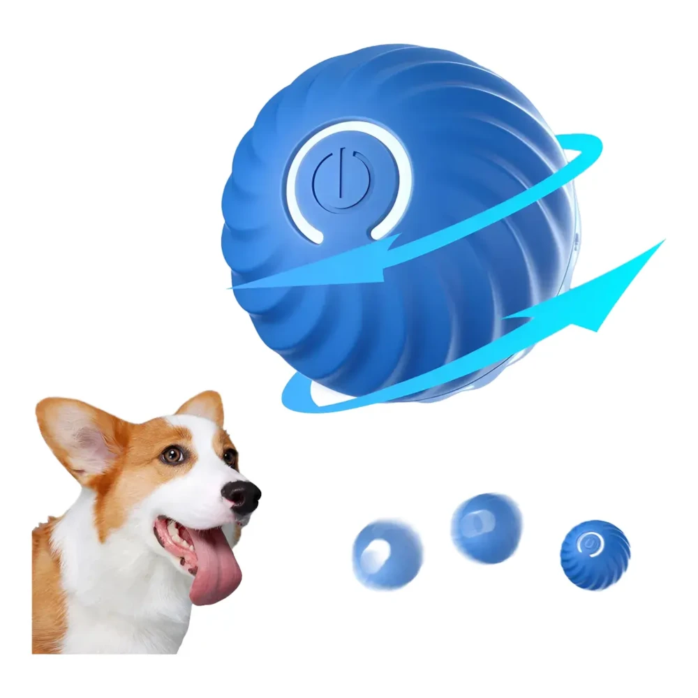 image_4bdeb4c5-aa1e-492f-938b-e532d165e335