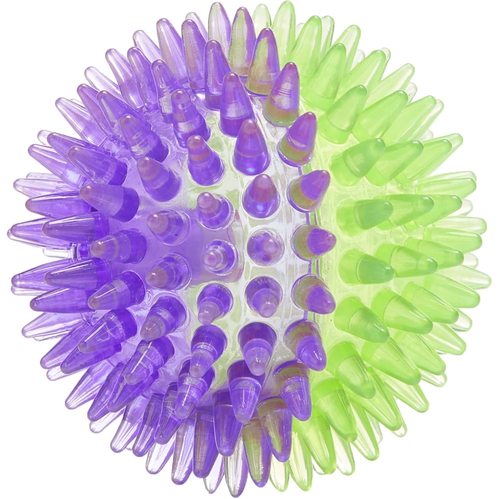 image_b91c53d0-bd72-4806-a8a2-f97f91daf4e6