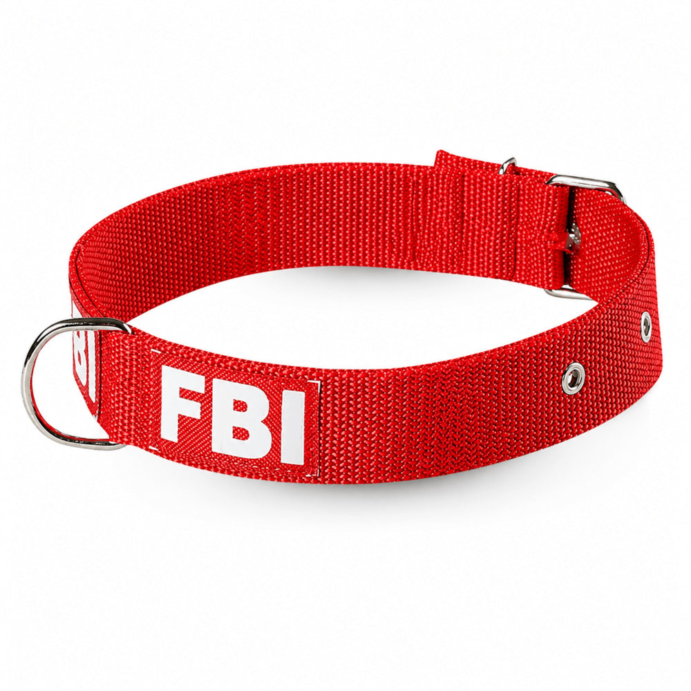 image_bada1afd-6440-4037-89e3-438abf650c38