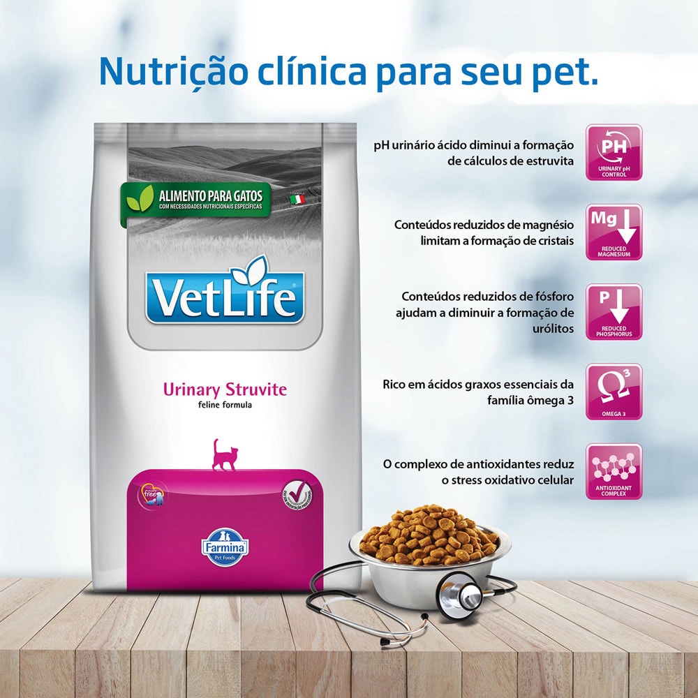 image_58bcc6cd-0ac8-4a7b-9c73-62b7a9b22a6b