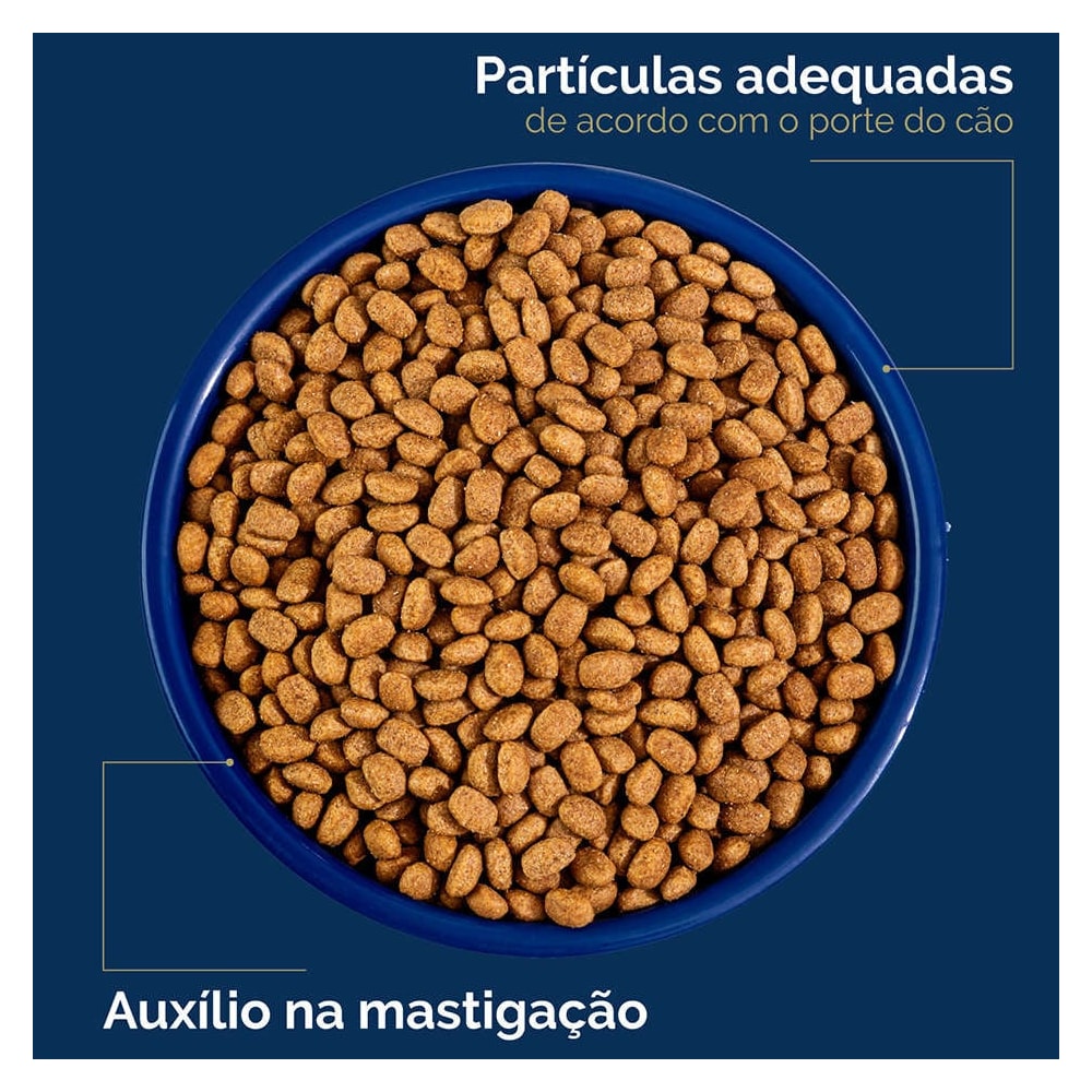 image_a1af27a0-2e8a-4d86-ad75-b01d95a5cb63