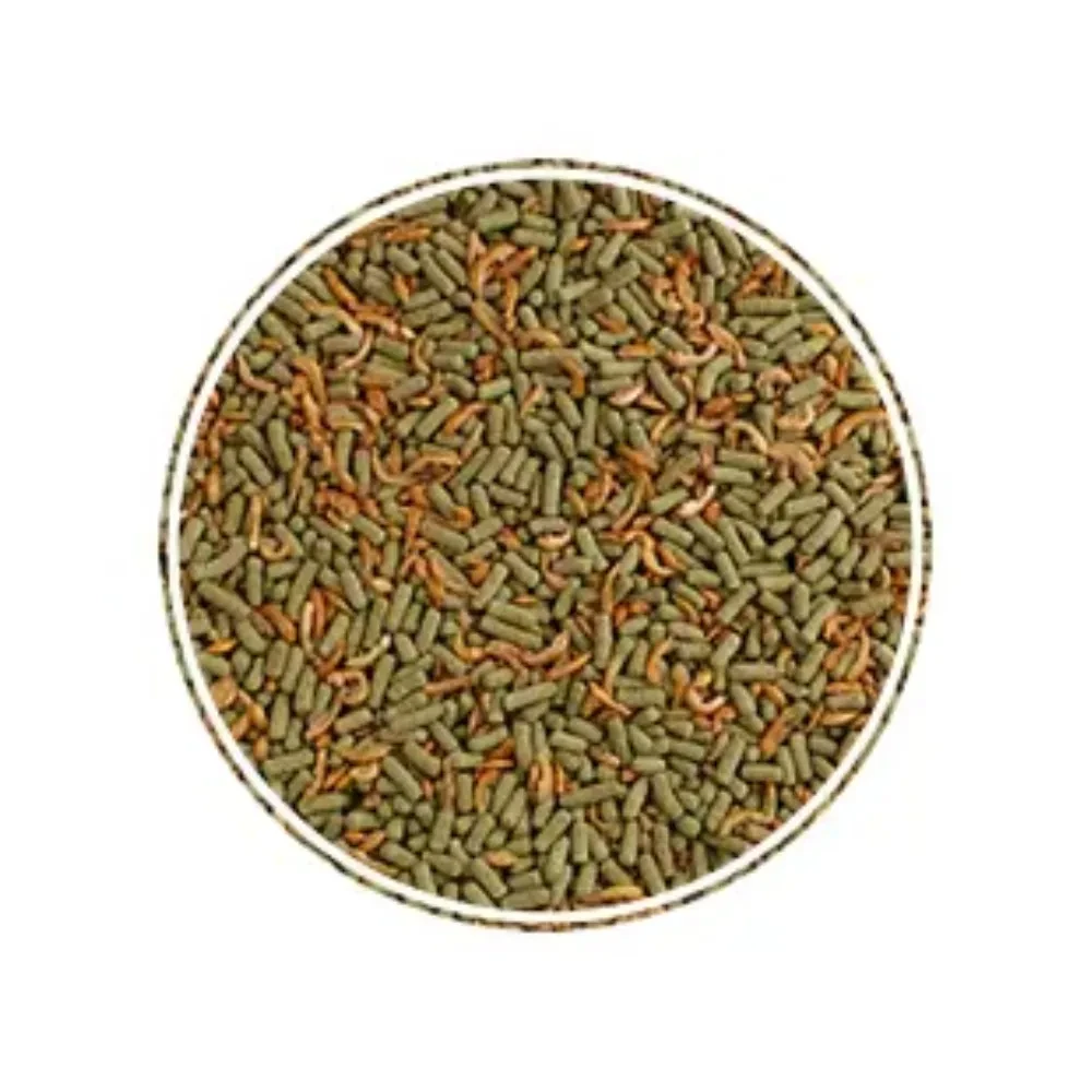 image_be183b13-1d03-4529-92b9-bc38c5c70c0d