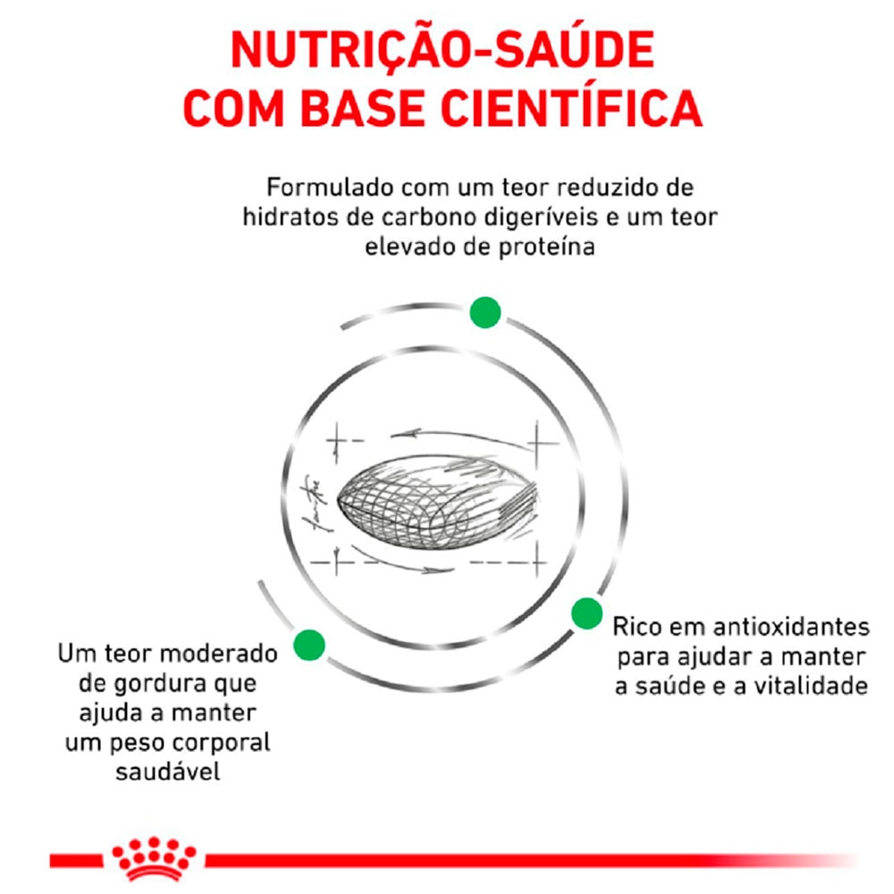 image_b3ef5aa3-e108-4f28-b6fd-cf150d8a3ce6