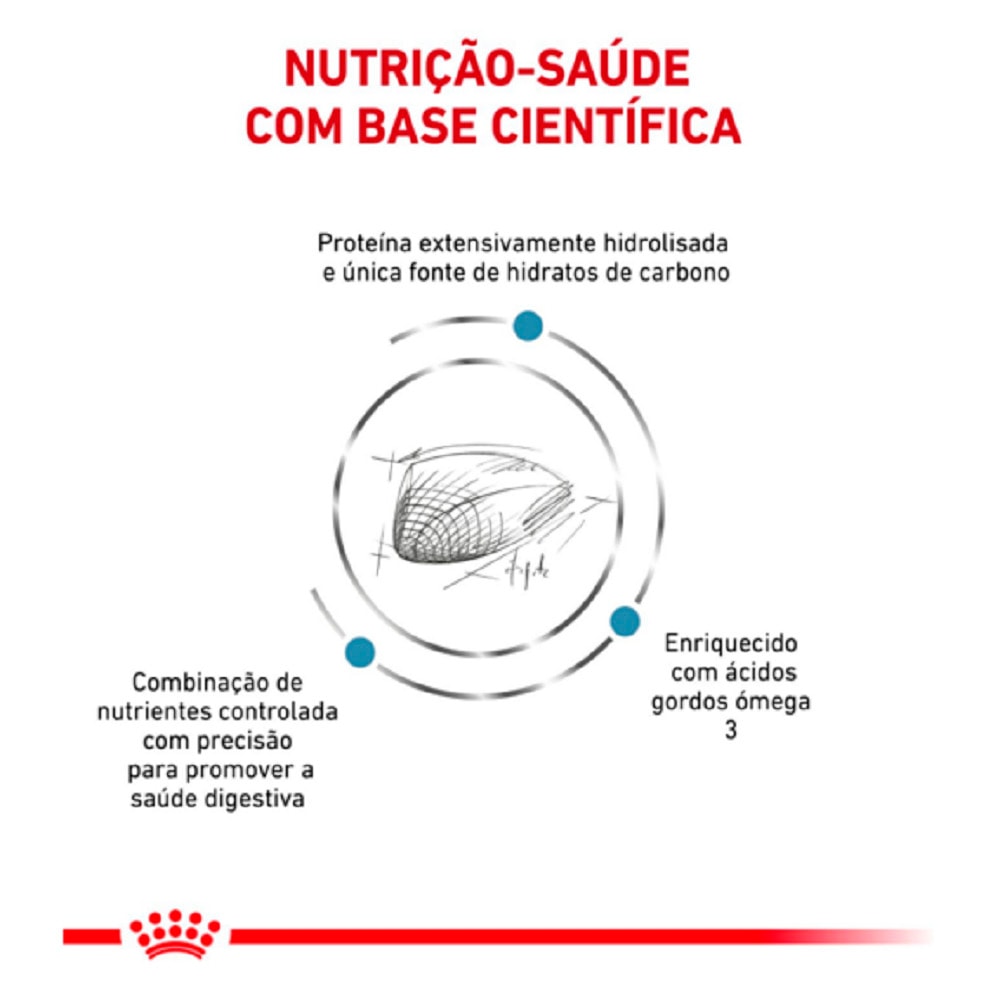 image_e7a89a8e-0edb-4da8-ada2-c04b97bf250e
