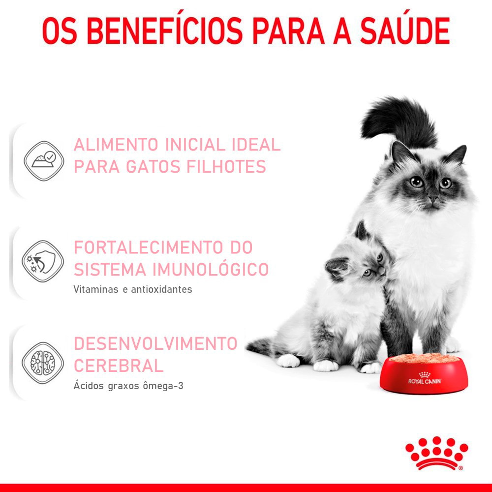 image_b9e260d7-5b58-47b4-bfdf-66c9d6f8f69a